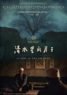 花木兰确认内地影院上映 海报